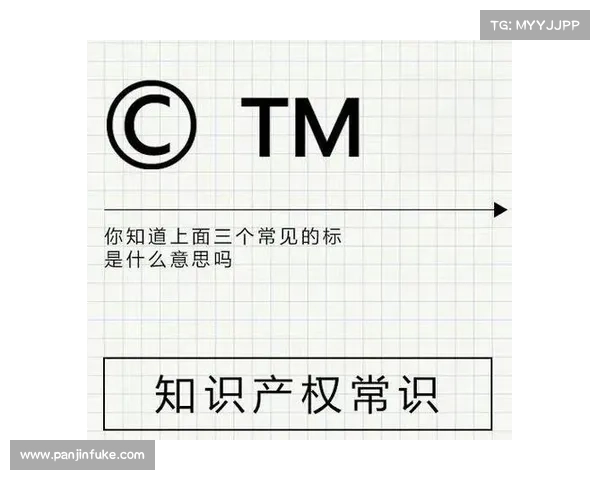 赛事IP知识产权涵盖要素全面解析及核心内容探索